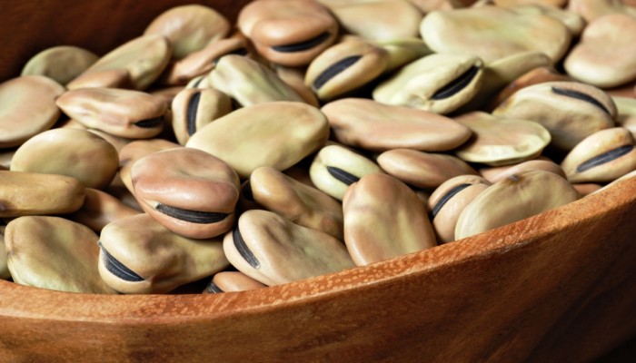 اعتقال 3 من رافضي الإنقلاب بينهم عضوا بهئية الدفاع عن المعتقلين بالشرقية