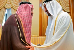 اعتقال 20 شخصا في حملات مسعورة بكفر الشيخ