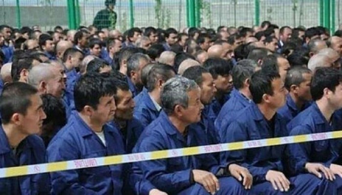 نيل مصر.. خط أحمر