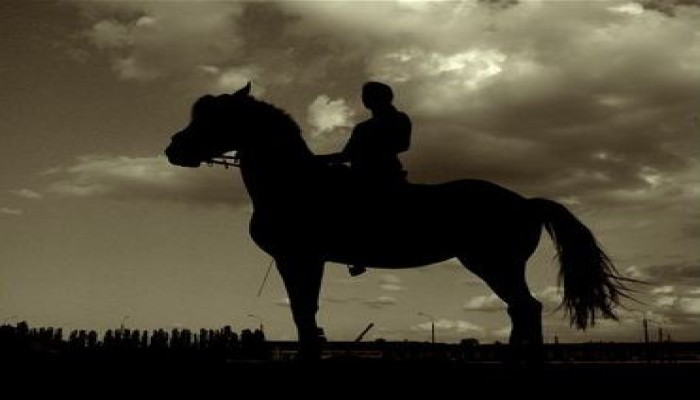 دورك يا فارس الحلبة