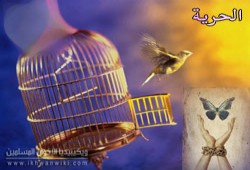 الحرية في ميزان الإسلام