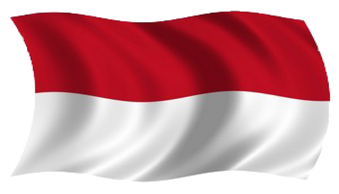 تاريخ الإخوان المسلمون في إندونيسيا