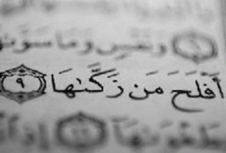 قَدْ أَفْلَحَ مَن زَكَّاهَا