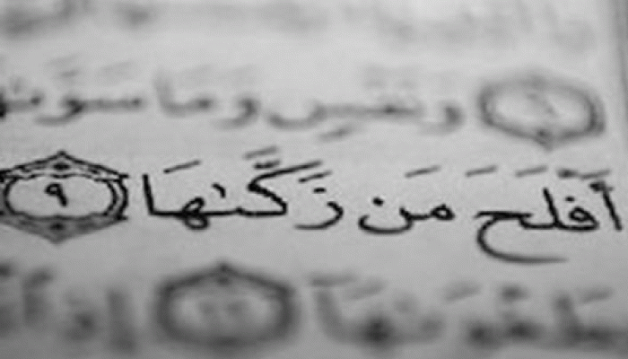 قَدْ أَفْلَحَ مَن زَكَّاهَا