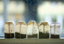 10 استخدامات مذهلة لأكياس الشاي