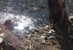 أهالي "أبو حمر" بالغربية يستغيثون من تلوث مياه ترعة القرية