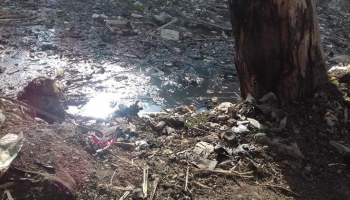 أهالي "أبو حمر" بالغربية يستغيثون من تلوث مياه ترعة القرية