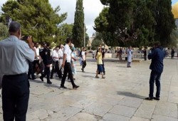 مُتطرفون يقتحمون باحات «الأقصى» وفلسطينيون يتصدون
