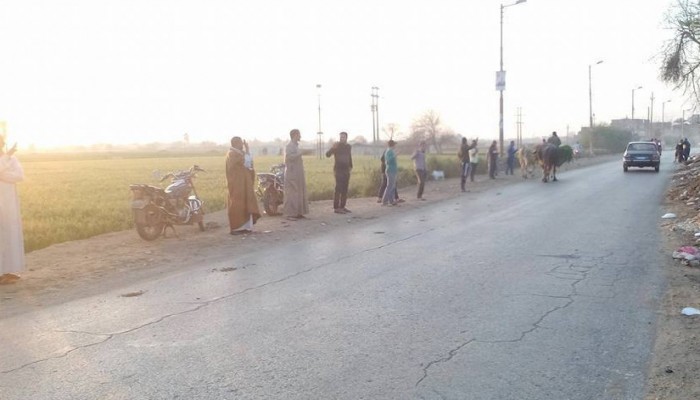 فعالية لثوار أشمون بالمنوفية للمطالبة بالإفراج عن المعتقلين