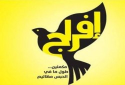 مستأنف دمنهور تقضي ببراءة 2 من معارضى الانقلاب وتلغي حكم بحبسهم سنتين