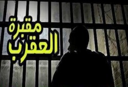 صحفيو العقرب يبدأون إضرابا عن الطعام إحتجاجا على سوء معاملتهم