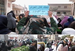 البحيرة .. نساء حوش عيسي يهتفن "انقذوا الغلابة..من ناب الديابة"