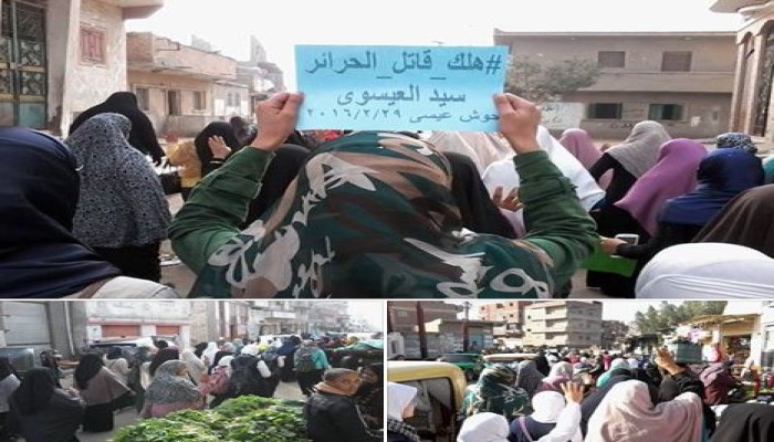 البحيرة .. نساء حوش عيسي يهتفن "انقذوا الغلابة..من ناب الديابة"