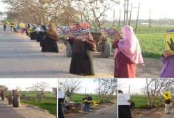 عدة فعاليات نهارية بالشرقية فى أسبوع "صوت الشغب أقوى"