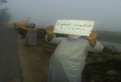 ثوار الدلنجات يحيون "صوت الشعب أقوى" بسلسلة بشرية