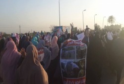هتافات الثوار تزلزل طريق "الزقازيق - منيا القمح"