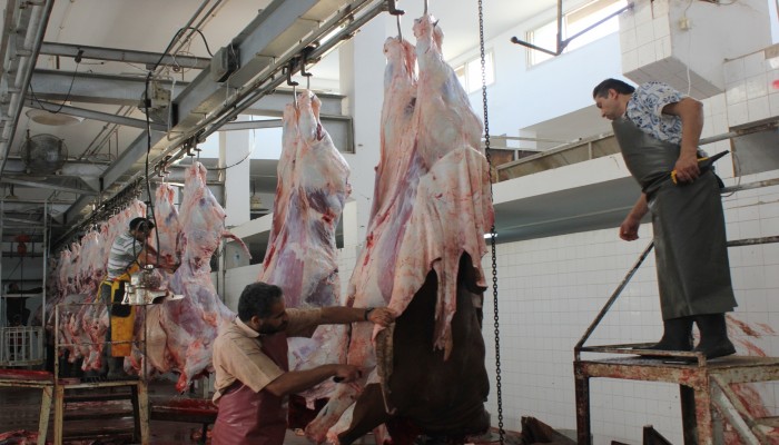 حكومة الانقلاب تستورد لحومًا تسبب السرطان