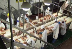 130 مسلماً يشتكون على مصنع أمريكي طردهم