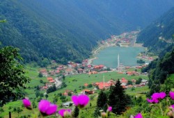 أجمل خمسة مناطق يفضّل السياح زيارتها في الربيع التركي