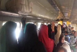 فعالية بالقطار لنساء حركتى  غرباء وفرسان رابعه بههيا