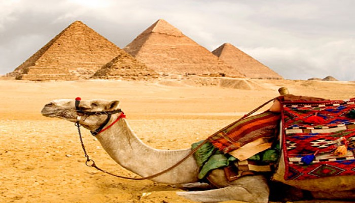 فشل السيسي..السياحة في مصر تتراجع بنسبة 40% خلال يناير وفبراير
