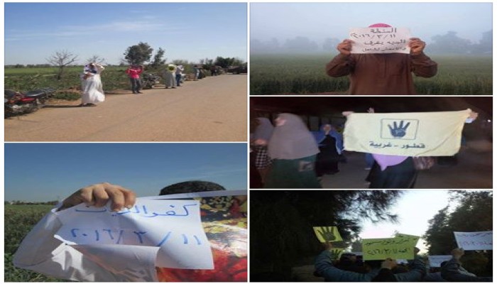 فعاليات متنوعة لثوار الغربية في جمعة "الجنيه يغرق والأسعار تشتعل"