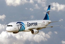 طائر ضخم يتسبب في تلفيات بإحدى طائرات شركة "مصر للطيران"