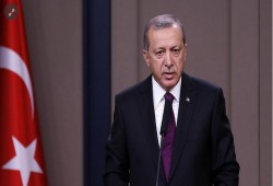 أردوغان: سنواصل بحزم مكافحة المنظمات الإرهابية