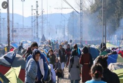 هولندا تعلن قبول طلبات 70 بالمئة من اللاجئين