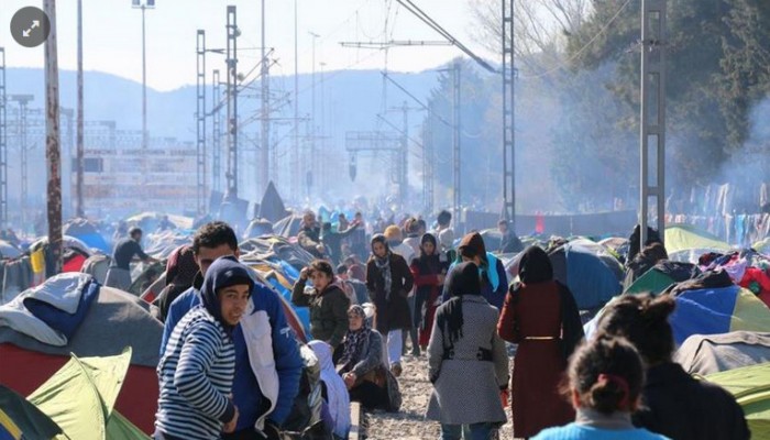 هولندا تعلن قبول طلبات 70 بالمئة من اللاجئين