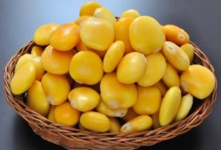 9 فوائد صحية للترمس