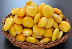 9 فوائد صحية للترمس