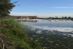 اختلاط "الصرف الصحي" بمياه الري بالشرقية والمسؤلون نيام