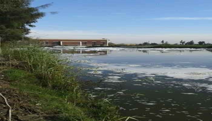 اختلاط "الصرف الصحي" بمياه الري بالشرقية والمسؤلون نيام