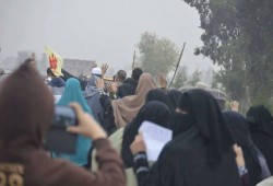 3فعاليات بـ‏الدقهلية‬  في أسبوع ‫"‏الجنية يغرق والأسعار تشتعل"‬