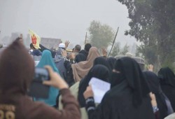 3فعاليات بـ‏الدقهلية‬  في أسبوع ‫"‏الجنية يغرق والأسعار تشتعل"‬
