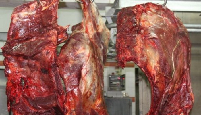 المنيا.. إخلاء سبيل جزار يبيع لحومًا غير صالحة للاستهلاك الآدمي