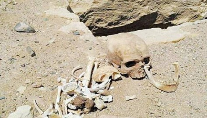 فى عهد السيسى .. المجرمون يتحولون لسرق القبور بعد  ان يئسوا من الاحياء