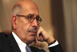 حكومة السيسي تحذف البرادعي من الفائزين بجائزة نوبل من منهج الصف الخامس الابتدائي