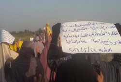 مسيرة حاشدة لثوار النوبارية ترفع شعار "ثورة حتى النصر"