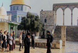 "القدس الدولية" تحذر الأردن من تركيب كاميرات في "الأقصى"
