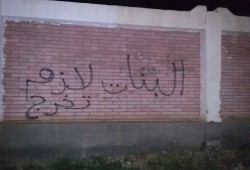 حملة جرافيتي لشباب دمياط الجديدة