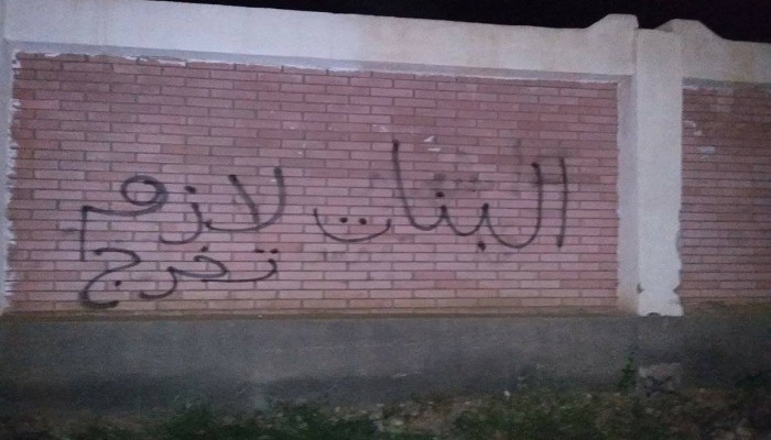 حملة جرافيتي لشباب دمياط الجديدة