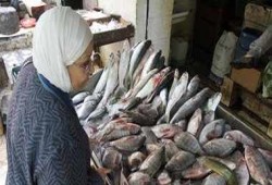 الغرفة التجارية: 20% ارتفاع فى أسعار الأسماك والبورى يرتفع إلى 40 جنيها