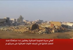 بالفيديو .. #‏الفلوجة_تقتل_جوعا.. جريمة طائفية لا تسقط بالتقادم