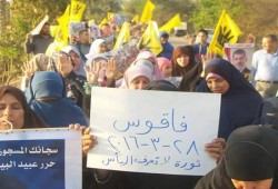 فاقوس تواصل تظاهرات "ثورة لا تعرف اليأس"
