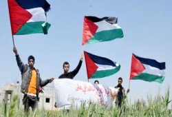 بالانتفاضة والمقاومة.. الفلسطينيون يحيون يوم الأرض