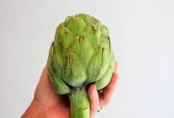 10 فوائد مذهلة للخرشوف