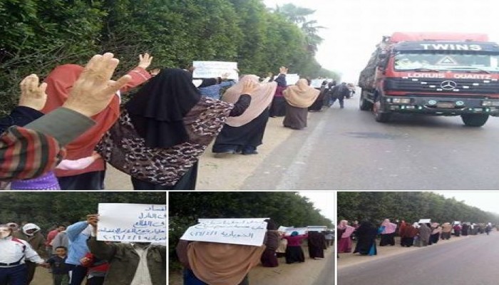 البحيرة : ثوار النوبارية يُرددون" حكم العسكر عار وخيانة"