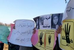 الدقهلية تنتفض بتظاهرات متنوعة فى جمعة "أنقذوا مصر المخطوفة"